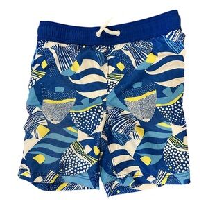 Lands' End Blue Fish & Stripes Kids Swim Trunks